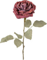 mömax Spittal a. d. Drau Kunstpflanze Rose I -PAZ- in Bordeaux