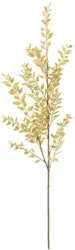 Kunstpflanze Ruscuszweig in Naturfarben