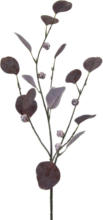mömax Spittal a. d. Drau Kunstpflanze Eukalyptuszweig I in Aubergine