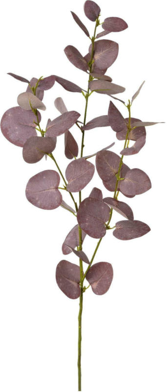 Kunstpflanze Eukalypthuszweig I in Aubergin