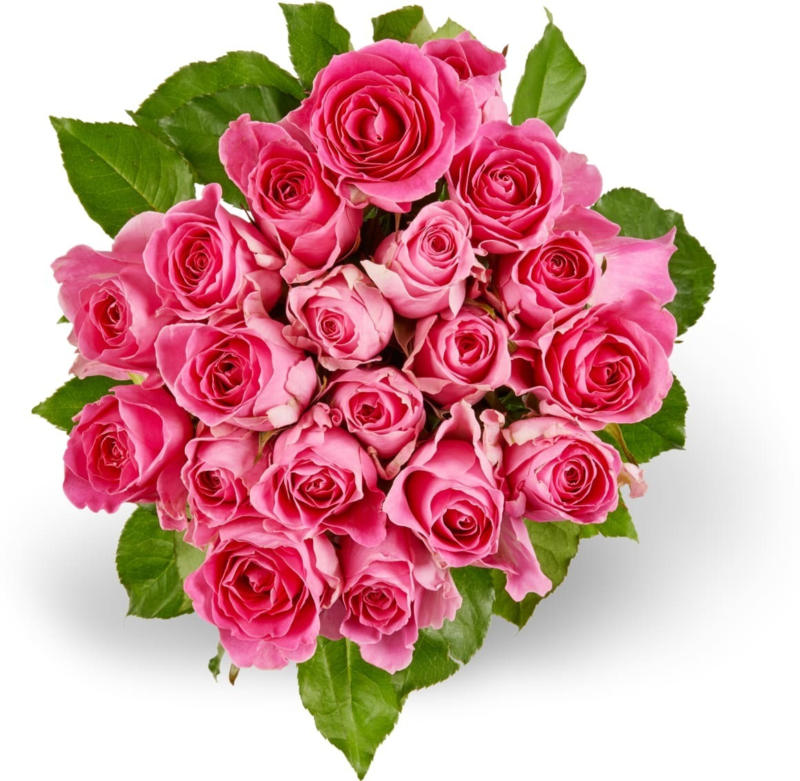 Mini-roses M-Classic, Fairtrade