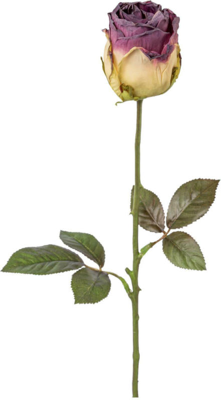 Kunstpflanze Rose I in Lila