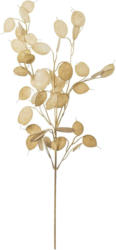 Kunstpflanze Pfenningblatt in Braun