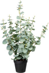 Kunstpflanze Eukalypthus I in Grün