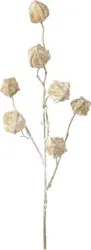 Kunstpflanze Physalis I in Goldfarben