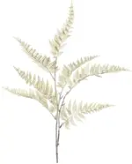 m&ouml;max Dornbirn - Ihr Trendm&ouml;belhaus in Dornbirn Kunstpflanze Farnzweig I in Sandfarben