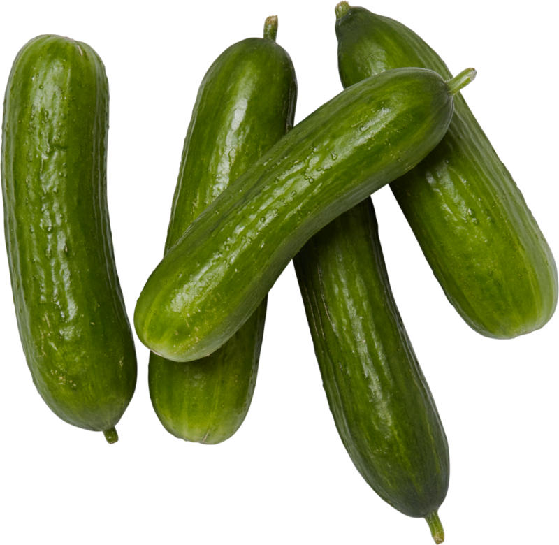 Cornichons snack, Espagne, 250 g