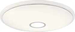 LED-Deckenleuchte Ross max. 30 Watt Deckenlampe