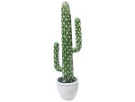 Cactus NATURAL ETHNIQUE