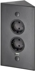 Steckdosenelement Riva USB in Schwarz