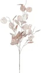 Dekozweig Eukalypthuszweig I -PAZ-