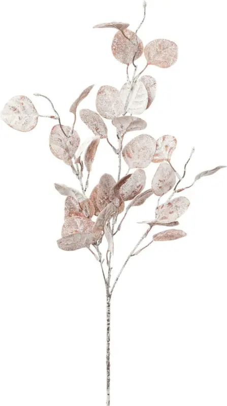 Dekozweig Eukalypthuszweig I -PAZ-