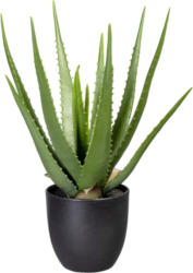 Kunstpflanze Aloe I in Grün