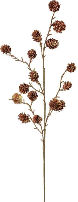 Dekozweig Zapfen I -PAZ-