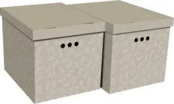 Box mit Deckel Jimmy, 2 Stk.