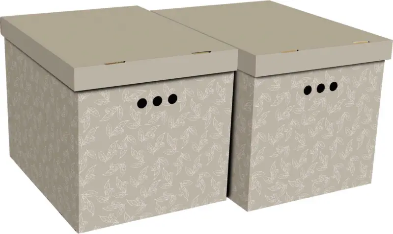 Box mit Deckel Jimmy, 2 Stk.