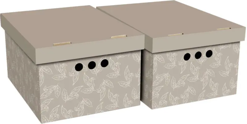 Box mit Deckel Jimmy, 2 Stk.