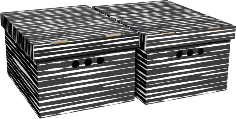 Box mit Deckel Jimmy, 2 Stk.