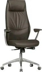 Chefsessel 'SPM1.146' , braun