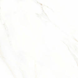 Bodenfliese Premium Marble Calacatta Feinsteinzeug Glasiert Poliert 58 x 58 cm