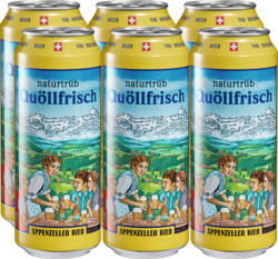 Bière non filtrée Quöllfrisch Appenzeller, 6 x 50 cl