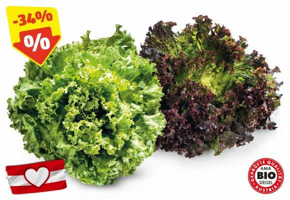 HOFER MARKTPLATZ/ZURÜCK ZUM URSPRUNG BIO-Spezialsalat aus Österreich