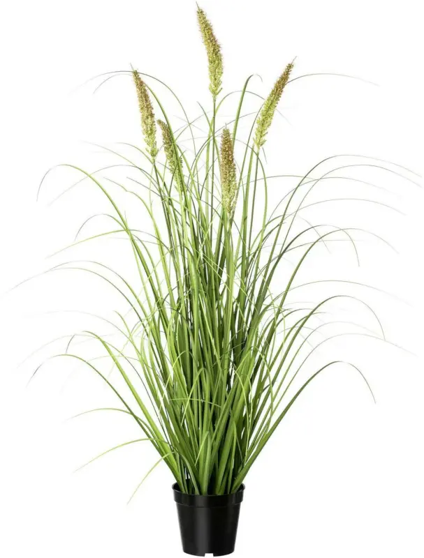 Kunstpflanze Penisetum in Grün