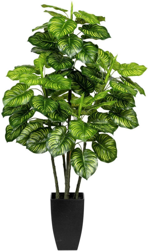 Kunstpflanze Maranta ca. 105cm