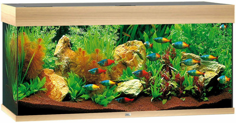 Juwel Aquarium Rio 180 101x41x50cm hell