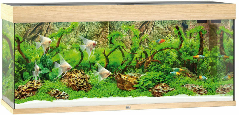 Juwel Aquarium Rio 240, 121x41x55cm,hell