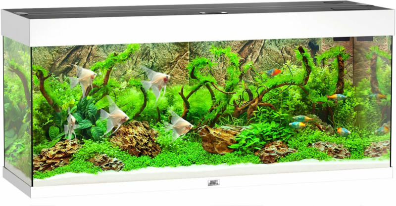 Juwel Aquarium Rio 240 121x41x55cmweiss