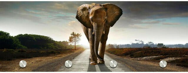 Glasgarderobe Elefant
