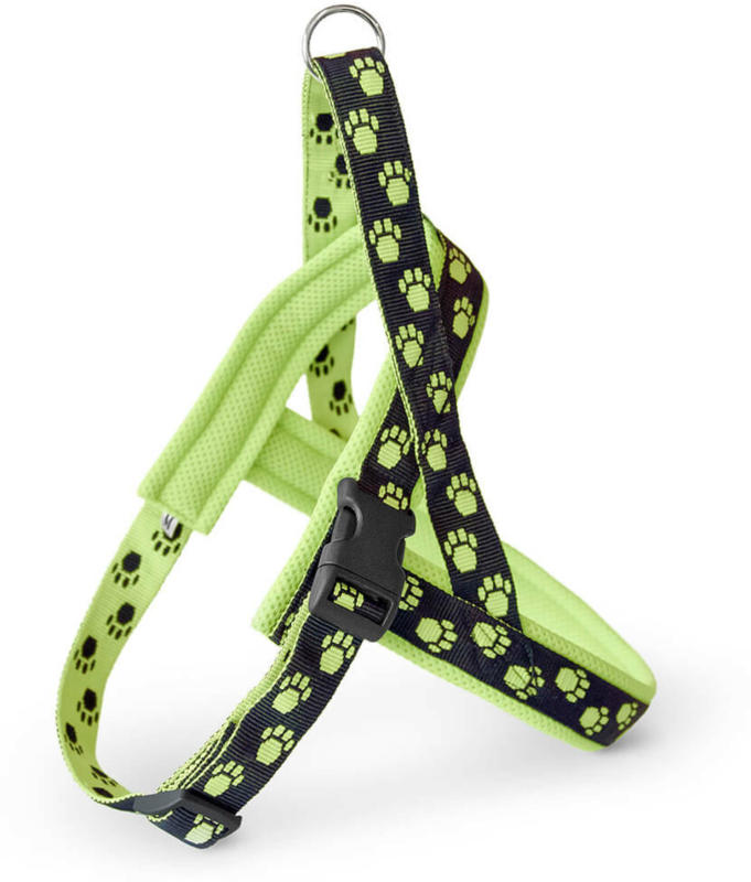 Freezack Nordic YB S 45-62cm