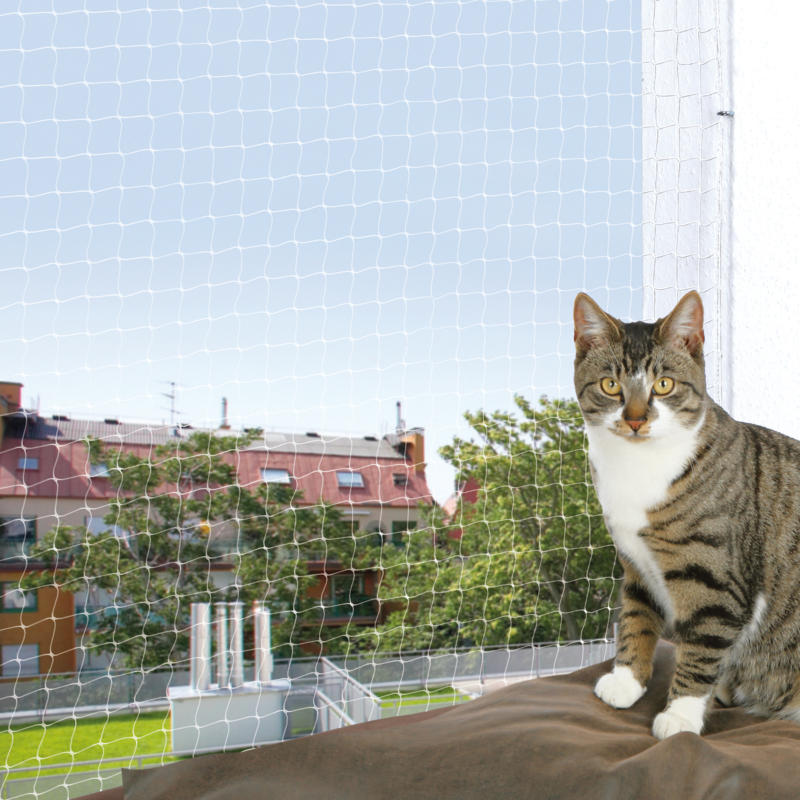 Katzennetz 4x3m