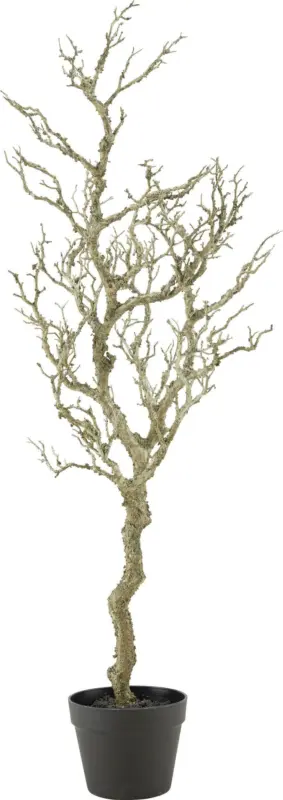 Dekozweig SAM Natur mit Topf