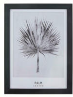 mömax Spittal a. d. Drau Bild Palm Grau/Schwarz ca.30x40x1,7cm