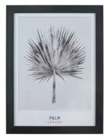 mömax Dornbirn - Ihr Trendmöbelhaus in Dornbirn Bild Palm Grau/Schwarz ca.30x40x1,7cm