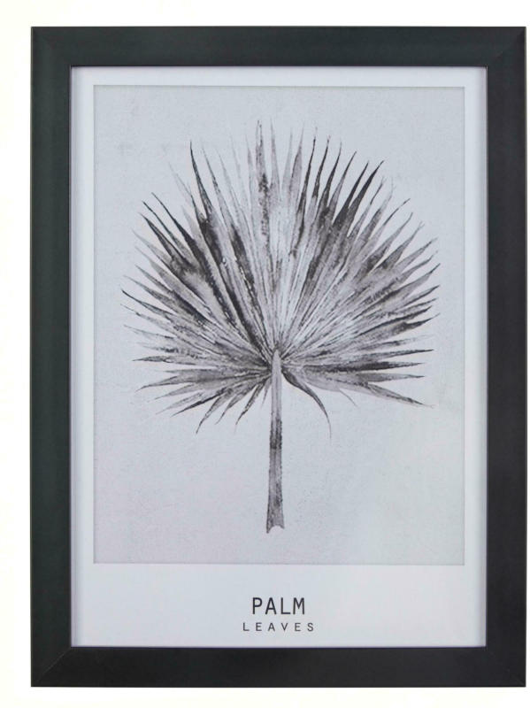 Bild Palm Grau/Schwarz ca.30x40x1,7cm