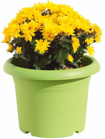 Pflanztopf Mediterraneo grün 30 cm