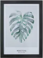 mömax Bild Monstera Grau/Grün ca.30x40x1,7cm