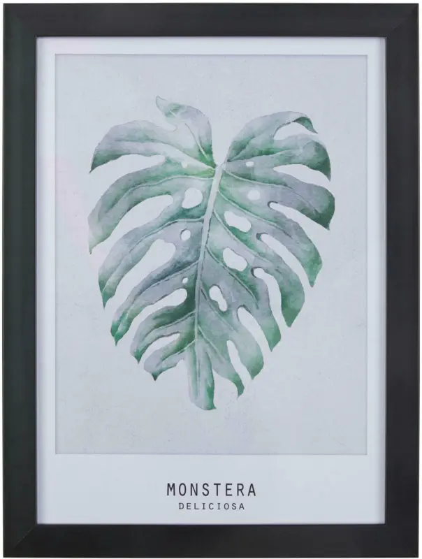 Bild Monstera Grau/Grün ca.30x40x1,7cm