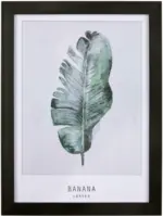 mömax Dornbirn - Ihr Trendmöbelhaus in Dornbirn Bild Banana Grau/Grün ca.30x40x1,7cm