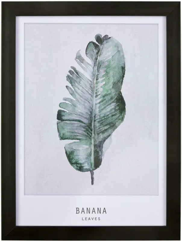 Bild Banana Grau/Grün ca.30x40x1,7cm