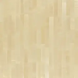 Schiffsboden Bergahorn natur per m²