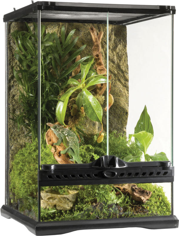 Exo Terra Glas Terrarium 30x30x45cm