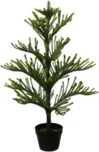 mömax Dornbirn - Ihr Trendmöbelhaus in Dornbirn Kunstpflanze Araucarienbaum, ca. 98cm