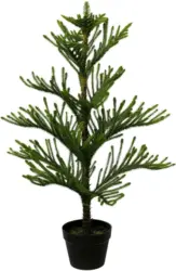 Kunstpflanze Araucarienbaum, ca. 98cm