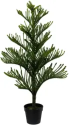 Kunstpflanze Araucarienbaum, ca. 126cm