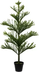 Kunstpflanze Araucarienbaum ca. 154cm
