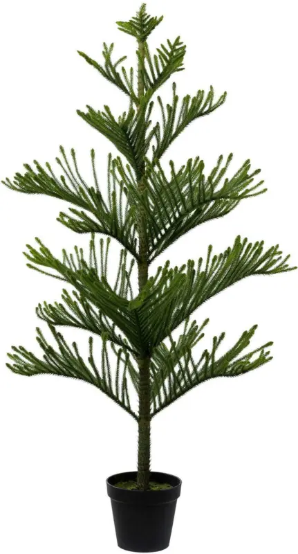 Kunstpflanze Araucarienbaum ca. 154cm